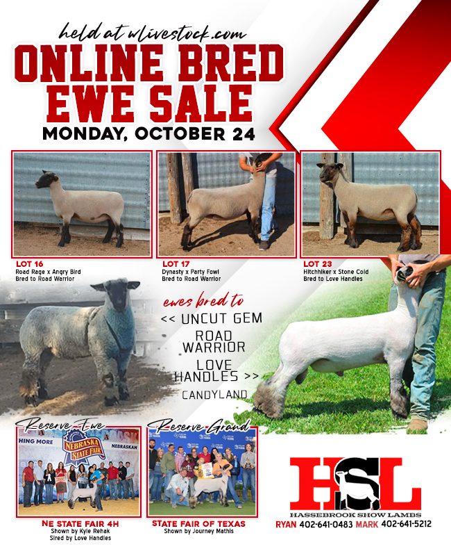 Oct. 24 Bred Ewe Sale